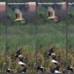 Adobe在最新版的CameraRAW加入了超級解析度功能，打得過Topaz GigaPixel AI嗎？