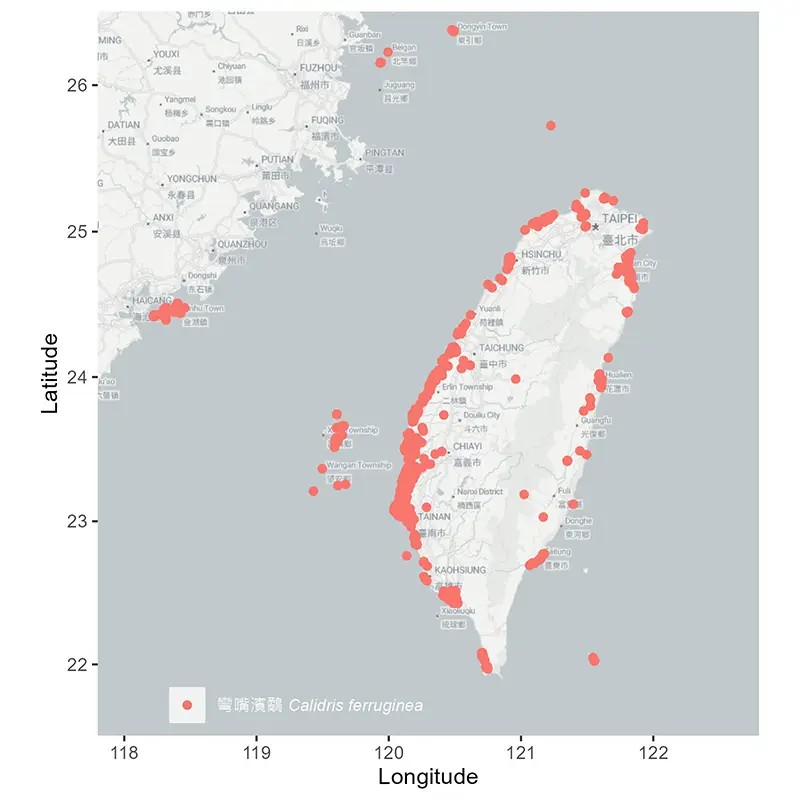 Calidris ferruginea -dist-map 彎嘴濱鷸台灣分布地圖